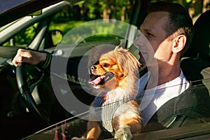 Young man Driver With A Dog Sitting In Car, Driving.