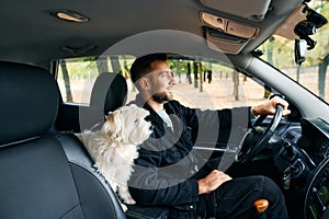 Young man driving a car with his white dog in the passenger seat enjoying road trip together