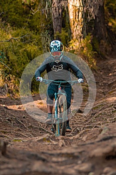 Young man driving his bicycle in the forest