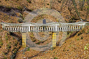 Young man enjoying the beauty of wild nature. Pedestrian bridge with trail in the autumn forest. Background