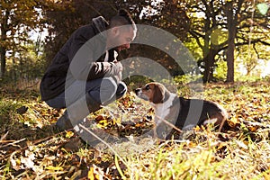 Young Man Exercising Dog In Autumn Woodland