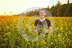 A young man farmer or agronomist examines the quality of rapeseed oil on a rape field. Agribusiness concept