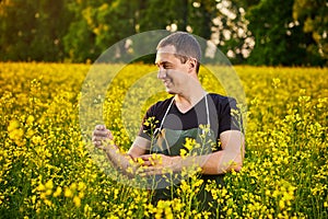 A young man farmer or agronomist examines the quality of rapeseed oil on a rape field. Agribusiness concept