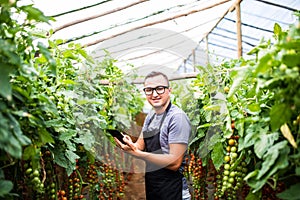 Young man farmer checking the sales online vegetables tomatoes o