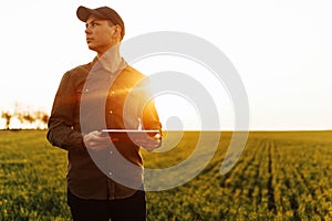 Young man farmer stands in a green wheat field with a tablet in his hands checking the progress of the harvest and looking sideway