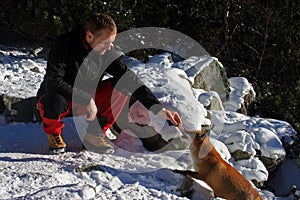 Young man feeding a wild fox in Tatra mountains