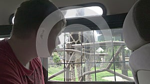 A young man feeds a giraffe carrot through a car window during a safari