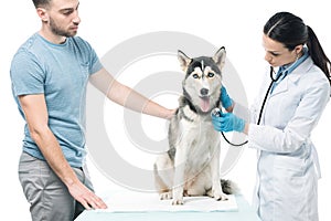 young man and female veterinarian examining dog by stethoscope