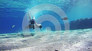 Young Man Free Dives Snorkeling and Floating Through the Frame, Underwater View in Red Sea, Egypt