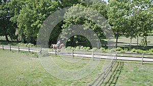 Young man galloping with his horse on a nature track with horses around. Aerial follow shot. 4K