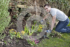 Young Man Gardening 1