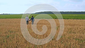 A young man and a girl are holding hands walking along a cereal field.