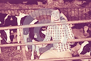 Young man happily stroking cows