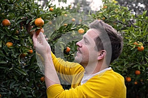 Young man harvests oranges and mandarins on citrus farm on sunny summer day