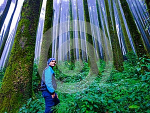 Young man hiker at pine tree forest with white defused fog background at morning