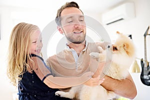 Young man and his little daughter play with 2-month old pomeranian spitz puppy