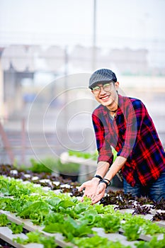 The young man and his salad garden And his happy smile