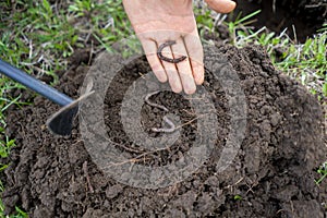 young man hold bunch of soil with earth worms b