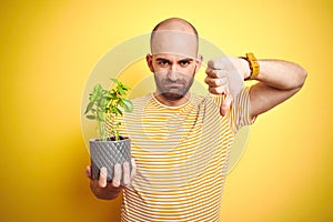 Young man holding basil plat plot over isolated yellow background with angry face, negative sign showing dislike with thumbs down,