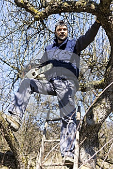 Young man holding a chainsaw trimming the tree