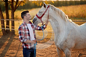 Young man and horse. Man have a hobby time, riding. Horses concept