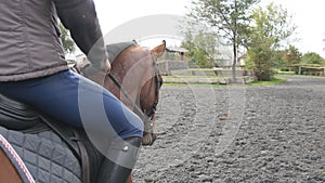 Joven hombre caballo sobre el caballo externo. masculino sobre el un caballo sobre el sobre el sobre el oscuro nublado. hermoso naturaleza 