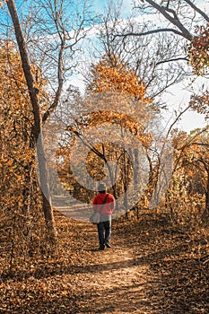 Young man in jeans and red hoodie carrying messenger bag walking alone down a forest path in winter through the trees with late