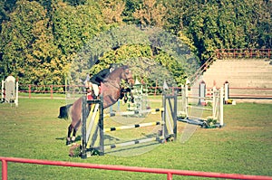 Young man jockey ride beautiful brown horse and jump over the crotch in equestrian sport closeup.