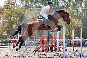 Young man jumping horse on his show jumping course