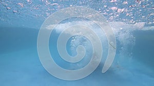 Young man jumping into the pool on a sunny day.