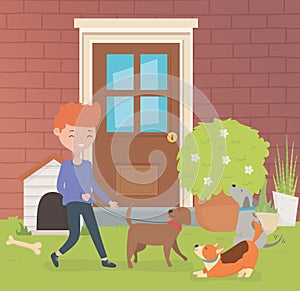 Young man with little dogs mascots in the house garden