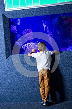 Young man looking at algae tank