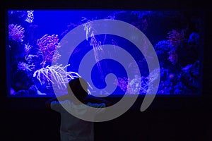 Young man looking at algae tank in a darkest room