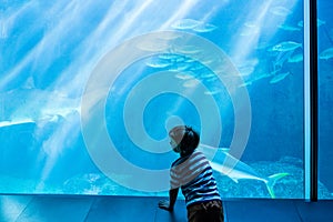 Young man looking at fish in a giant tank