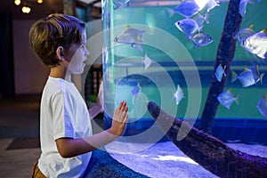 Young man looking at fish in a tank