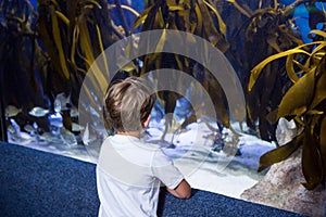 Young man looking at yellow algae