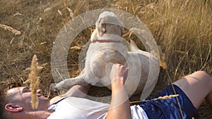 Young man lying on meadow and caressing his labrador. Male owner playing with golden retriever at nature. Love and