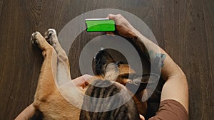 Young man lying on wooden floor with dog uses smartphone to watch movie or video. Green screen, horizontal mockup. Owner