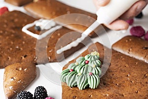 Young man making a gingerbread house