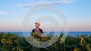 Young man in orange cap in yellow sunflowers crops field on sunset sea shore. Male tourist with backpack on countryside