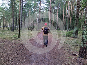 young man photographing forest in spring back view