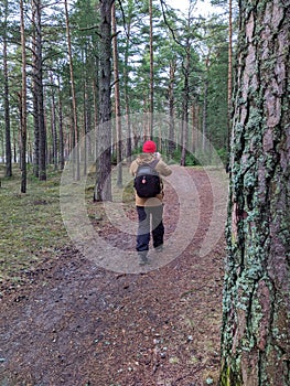 young man photographing forest in spring back view