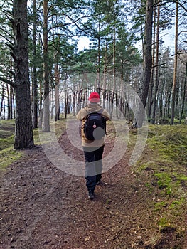 young man photographing forest in spring back view