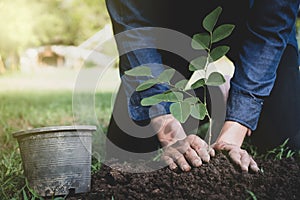 The young man is planting tree to preserve environment