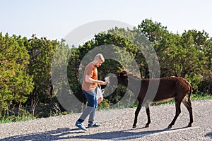 Young man playing and feed wild donkey, Cyprus, Karpaz National Park Wild Donkey Protection Area.