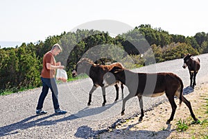 Young man playing and feed wild donkey, Cyprus, Karpaz National Park Wild Donkey Protection Area.