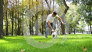 Young man playing with his cute dog in summer park