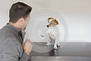 young man playing with his cute small dog. handshake between man and dog - High Five - teamwork. Pets indoors, love for animals