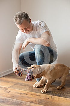 A young man is playing with his labrador retriever puppy at home with a colorful thread toy. Care and education of dogs