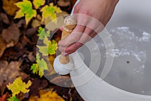Young man plays his 2 crystal bowls in the forest - closeup from above